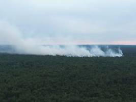 einsatzkräfte hoffen auf regen: evakuierungen wegen waldbrand im müritz-nationalpark